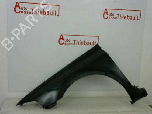 Used Left front fenders RENAULT LAGUNA II (BG0/1_) 3.0 V6 24V (BG01, BG02, BG0D, BG0Y) (207 hp) 20096337