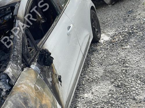 Hinge/Door check strap RENAULT CLIO V (B7_) 1.0 TCe 100 (B7MT) | BP22396231C146