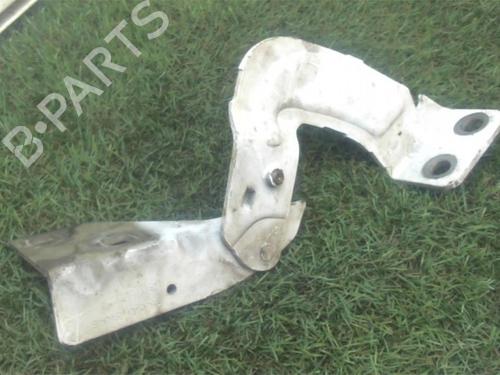 Hinge/Door check strap RENAULT KANGOO Express (FC0/1_) 1.5 dCi (FC1R) | BP13134735C146 