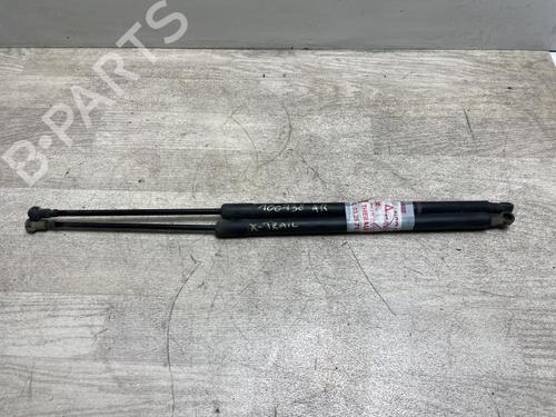 Used Tailgate lift support NISSAN X-TRAIL II (T31) 2.0 dCi 4x4 (173 hp) 23034180