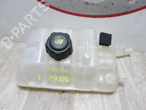 Expansion tank RENAULT SCÉNIC IV (J9_) 1.5 dCi 110 | BP23034031C120
