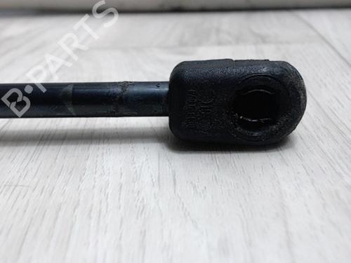 Tailgate lift support FORD FIESTA VI (CB1, CCN) 1.4 TDCi | BP20625004C138