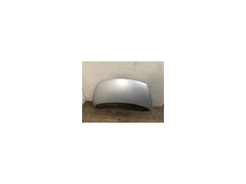 Capot RENAULT ESPACE IV (JK0/1_) 2.0 dCi (JK02, JK03) (131 hp) 20633379