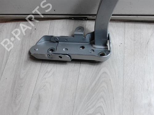 Hinge/Door check strap CITROËN C5 III (RD_) 2.0 HDi (RDRHD8, RDRHDJ, RDRHR8, RDRHRJ) | BP13131917C146 