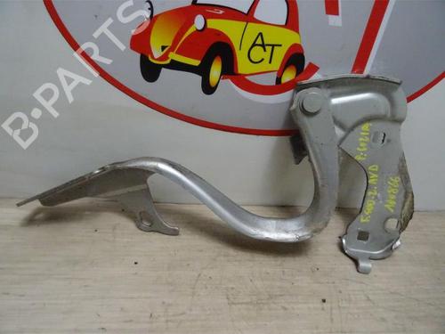 Hinge/Door check strap FIAT 500 (312_) 1.4 (312AXC1B, 312CXC1B) | BP23127970C146