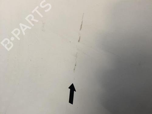 Right tailgate RENAULT MASTER III Van (FV) 2.3 dCi 110 FWD (FV0R, FV0W, FV1A) | BP31200818C77