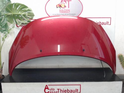 hood-peugeot-207-wa_-wc_-2006-2007-2008-2009-2010-2011-2012-2013-2014-2015-30780465 main image