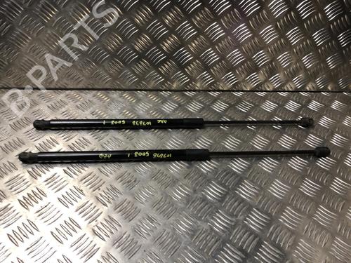 Used Tailgate lift support PEUGEOT 5008 (0U_, 0E_) 1.6 BlueHDi 120 (120 hp) 25148535