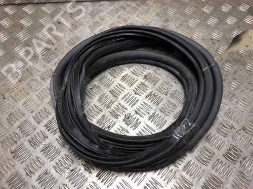 Gummiliste RENAULT KOLEOS I (HY_) 2.0 dCi (HY0K) (150 hp) 31200647