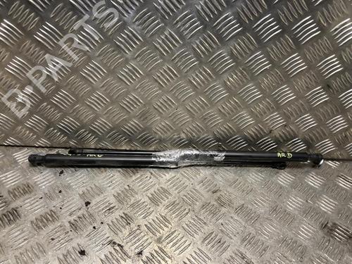 Gasdæmper bagklap CITROËN C4 III (BA_, BB_, BC_) ë-C4 (BCZKXC, BZCKSC) (136 hp) 31246348