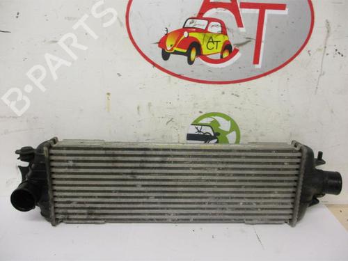Used Intercooler RENAULT TRAFIC II Van (FL) 2.5 dCi 135 (FL0D) (135 hp) 13271004
