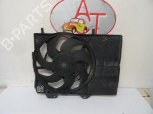 Ventilator motor PEUGEOT 207 (WA_, WC_) 1.6 HDi (90 hp) 13227838