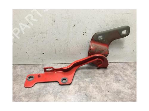 Hinge/Door check strap RENAULT CLIO III (BR0/1, CR0/1) 1.5 dCi | BP20618174C146 