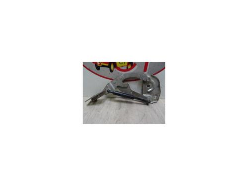 Used Hinge/Door check strap PEUGEOT 406 Coupe (8C) 2.0 16V (135 hp) 13129807