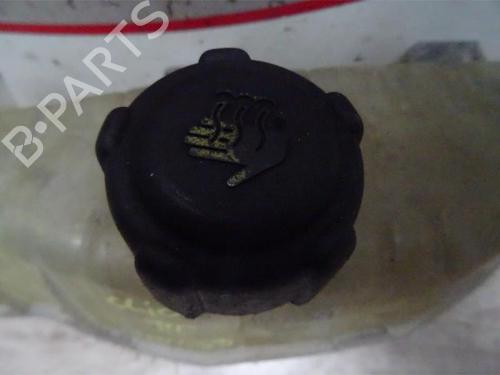 Expansion tank RENAULT CLIO III (BR0/1, CR0/1) 1.4 16V | BP13273998C120 