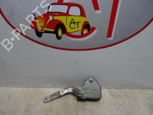 Hinge/Door check strap LANCIA MUSA (350_) 1.3 D Multijet (350.AXB11, 350.AXB1A) | BP13129757C146 