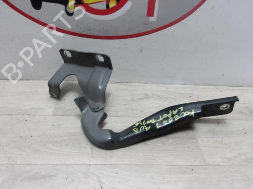 Dørhængsel/Dørbegrænser RENAULT KOLEOS I (HY_) 2.0 dCi 4x4 (HY0K) (150 hp) 13133401