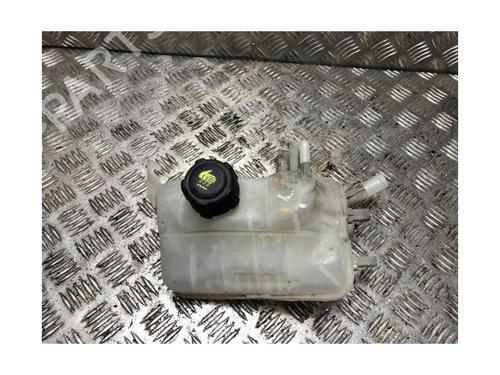 Expansion tank RENAULT SCÉNIC III (JZ0/1_) 1.5 dCi | BP27610517C120 
