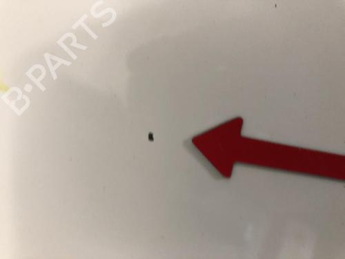 Hood CITROËN JUMPY II Van 1.6 HDi 90 8V | BP20634770C1