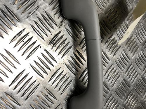 Innerer Dachhaltegriff für RENAULT SCÉNIC III (JZ0/1_) 1.2 TCe (116 hp) 31244726