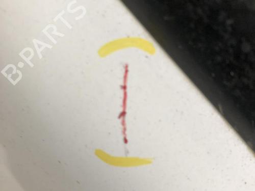 Left front door RENAULT TRAFIC II Van (FL) 2.0 (FL0A, FL0G) | BP23105836C2