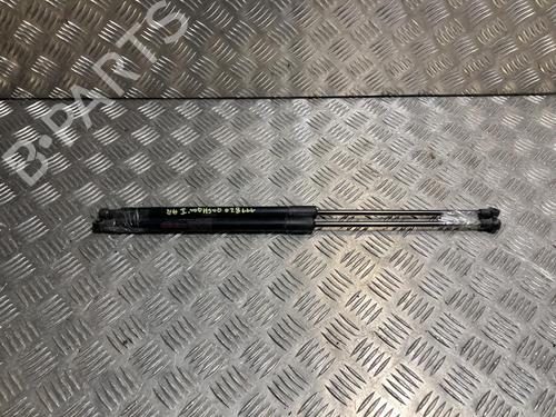 Ammortizzatore portellone posteriore NISSAN QASHQAI I (J10, NJ10) 1.5 dCi (110 hp) 31371527