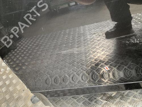 Left rear door RENAULT SCÉNIC III (JZ0/1_) 1.5 dCi | BP31201175C4 