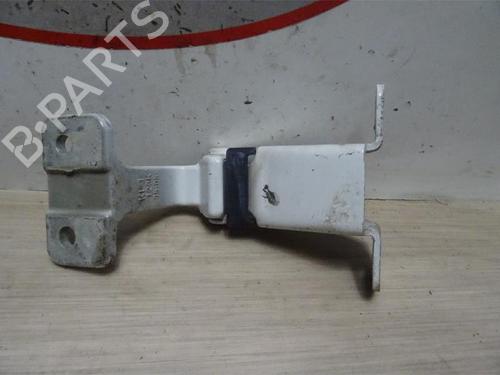 Hinge/Door check strap RENAULT KANGOO Express (FW0/1_) 1.5 dCi 85 (FW0K, FW0L, FW0B) | BP13136081C146 