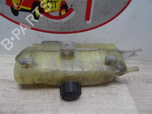 Expansion tank RENAULT CLIO III (BR0/1, CR0/1) 1.4 16V | BP13273998C120 