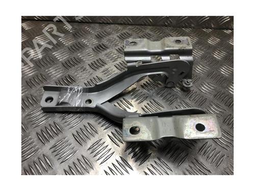 Hinge/Door check strap KIA RIO III (UB) 1.2 CVVT | BP25011136C146 