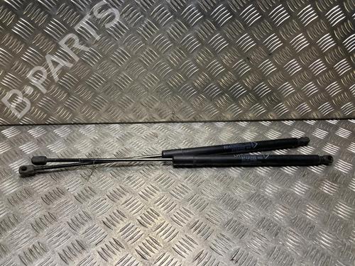 Used Tailgate lift support FIAT TIPO Saloon (356_, 357_) 1.4 (356SXA1B) (95 hp) 32010546