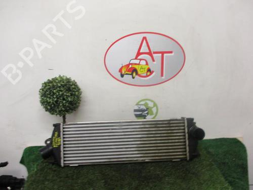 Intercooler NISSAN PRIMASTAR Van (X83) 2.0 dCi 115 (114 hp) 31195361