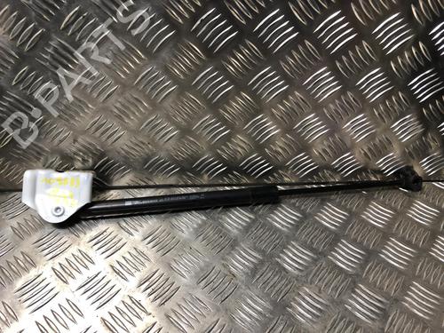 Used Tailgate lift support RENAULT CLIO IV (BH_) 1.5 dCi 75 (75 hp) 25306662