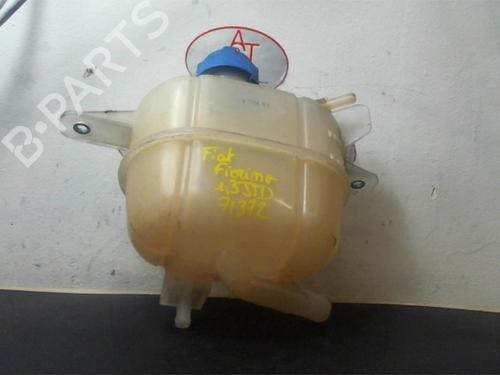 Used Expansion tank FIAT FIORINO Box Body/MPV (225_) 1.3 D Multijet (225BXD1A, 225BXB1A, 225BXB11) (75 hp) 24979514