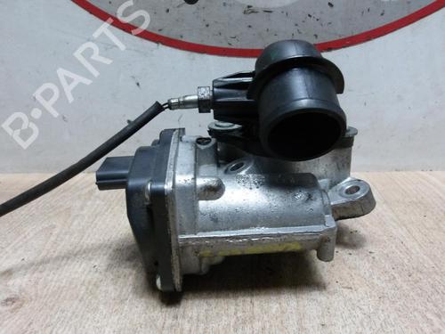 Egr RENAULT KANGOO Express (FW0/1_) 1.5 dCi 75 (FW07, FW10, FW04) | BP28668720M69