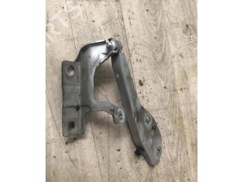 Hinge/Door check strap VOLVO S40 II (544) 1.6 D | BP20619167C146
