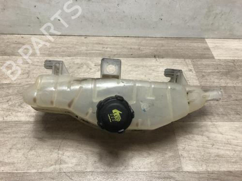 Used Expansion tank RENAULT CLIO III (BR0/1, CR0/1) 1.5 dCi (BR17, CR17) (86 hp) 20626296