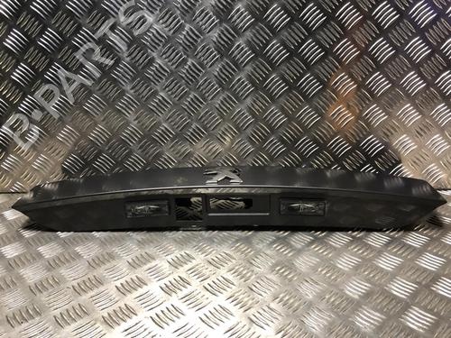Licence plate light PEUGEOT 2008 II (UD_, US_, UY_, UJ_, UR_, UC_) 1.5 BlueHDI 100 | BP23873837I40