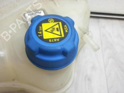 Expansion tank FIAT GRANDE PUNTO (199_) 1.3 D Multijet | BP13273786C120