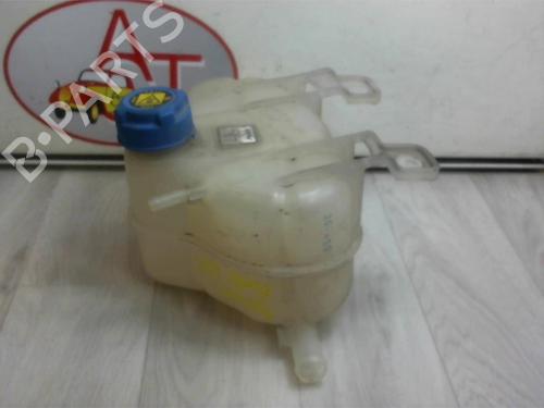 Expansion tank FIAT GRANDE PUNTO (199_) 1.3 D Multijet | BP13273786C120
