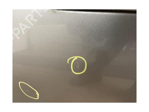 Dør venstre foran NISSAN X-TRAIL I (T30) 2.2 dCi 4x4 | BP13229524C2 