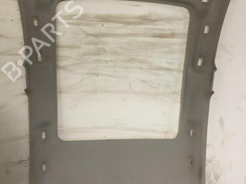 Techo interior PEUGEOT 207 (WA_, WC_) 1.6 HDi (92 hp) 31202918