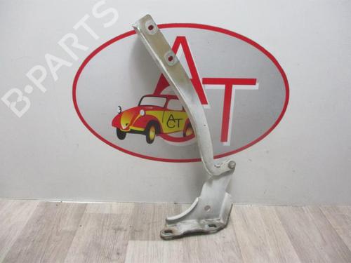 Hinge/Door check strap FIAT GRANDE PUNTO (199_) 1.3 D Multijet | BP25799513C146 