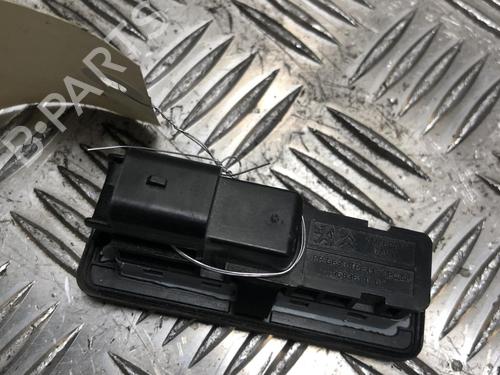 Exterior handle CITROËN C3 III (SX) 1.2 PureTech 82 | BP31246254C122