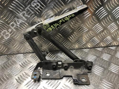 Used Hinge/Door check strap OPEL INSIGNIA A (G09) 2.0 CDTI (68) (160 hp) 31198293