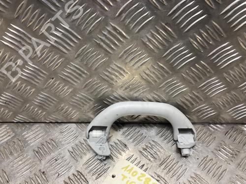 Interior roof handle VW TIGUAN (5N_) 2.0 TDI | BP31202110I35