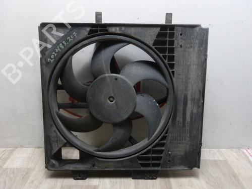 Used Heater blower motor PEUGEOT 207 (WA_, WC_) 1.4 HDi (68 hp) 13228156