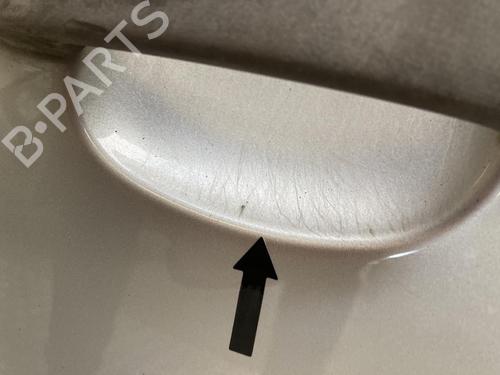 Left front door FORD FUSION (JU_) 1.4 TDCi | BP31196688C2