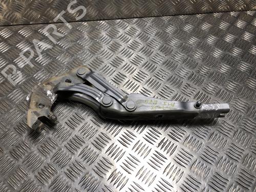 Used Hinge/Door check strap AUDI A1 (8X1, 8XK) 1.6 TDI (115 hp) 31185903