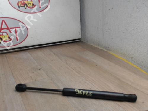 Tailgate lift support DAF 66 1.1 | BP20633076C138 
